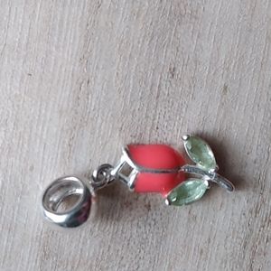 SS charm fits pandora